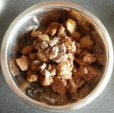 Jak trawienie u psów?