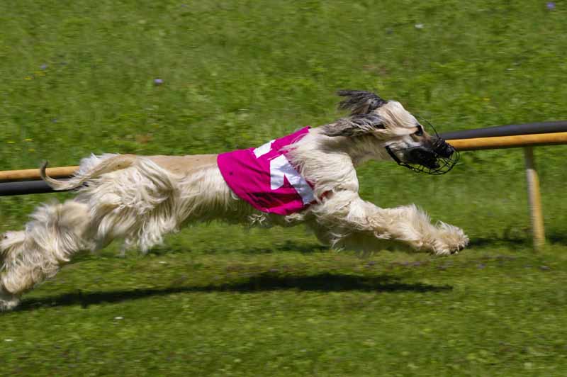 Zaproszenie: PIĘKNO I WYDAJNOŚĆ