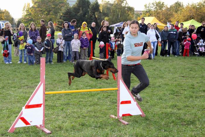 Zaproszenie na ŚWIATOWY DZIEŃ ZWIERZĄT