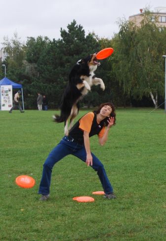 Obchody Światowego Dnia Zwierząt