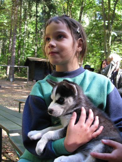 Szkoła zwierząt dla dzieci