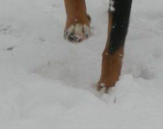 Dlaczego uszkodzenie chemiczne powoduje uszkodzenie?