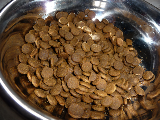 Kilka słów o optymalnym składzie karmy dla psów