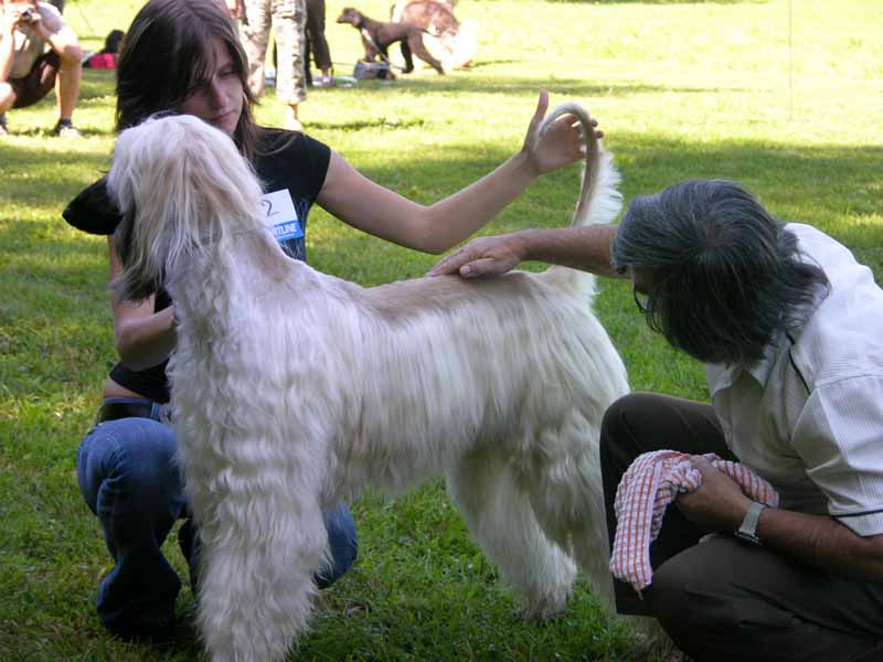 Zaproszenie: Beauty and Performance 2012