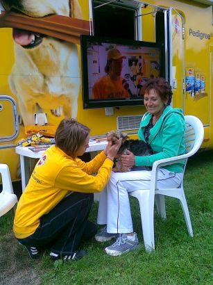 Darmowe wycieczki z psem