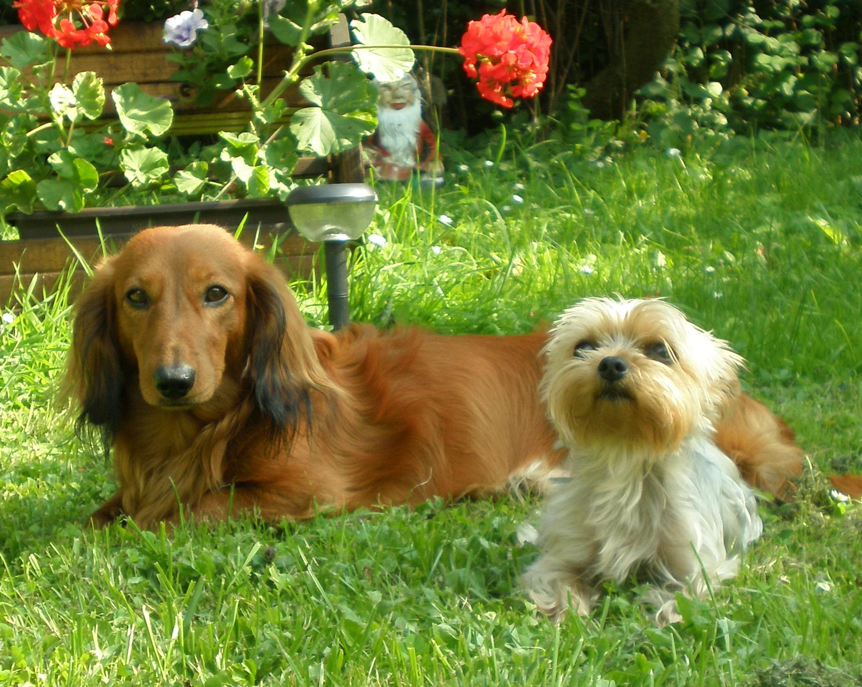 Co należy wiedzieć w diagnostyce zdrowotnej?