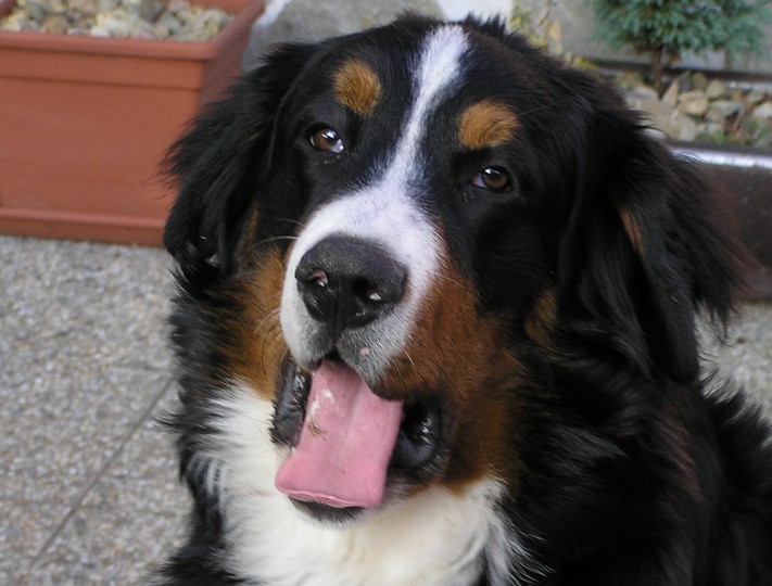 Nuda czy strach przed samotnością?