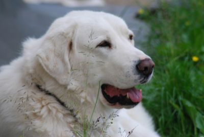 Szukają nowego domu