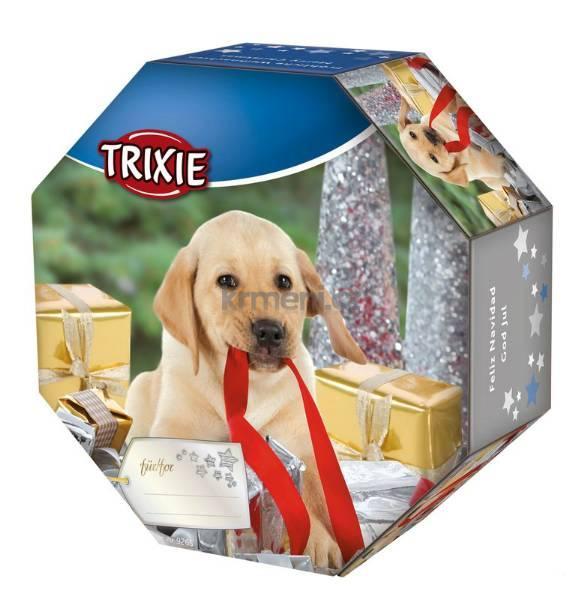 Wskazówki na prezenty świąteczne dla psów