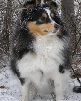 Motywacja się opłaca