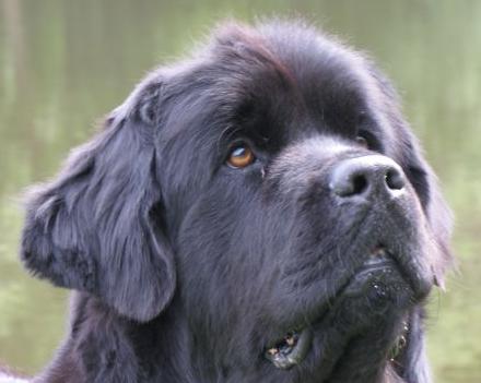 Jak wesprzeć prawidłowy wzrost szkieletu?