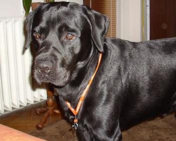 Praktyczna wskazówka do ćwiczeń & # 8211; zamykanie drzwi