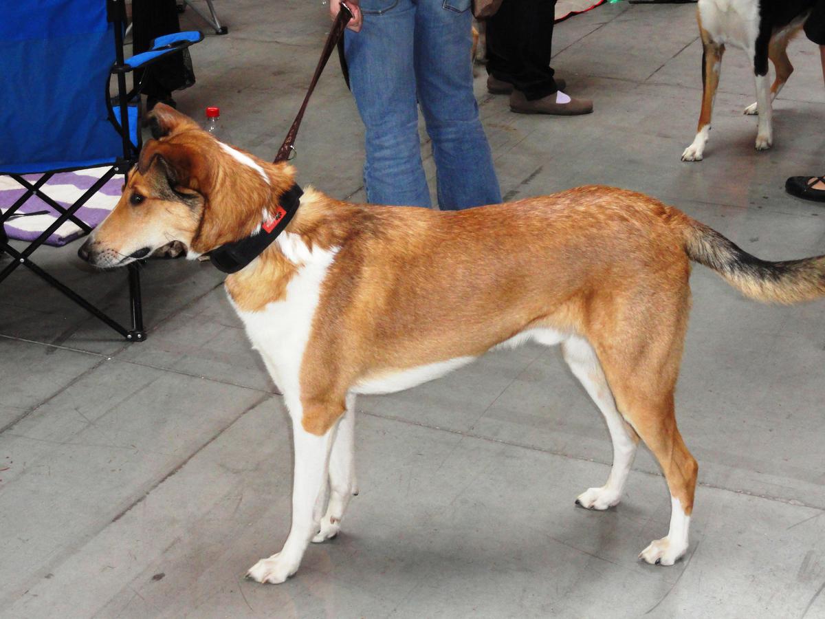 Nauka obcinania paznokci