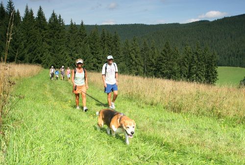 Zaproszenie: Dogtrekking w Wołoszczyźnie