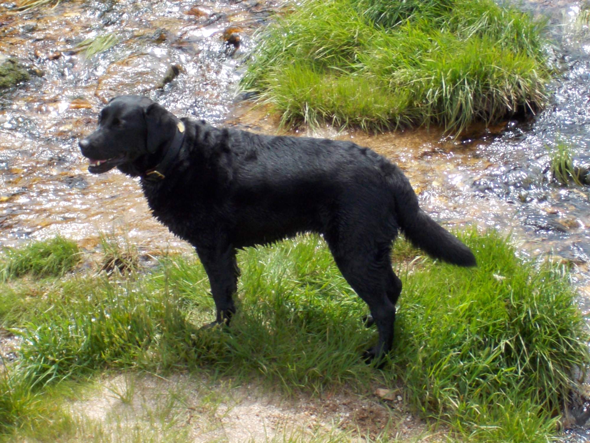 Delikatna obróbka przy braku ciepła
