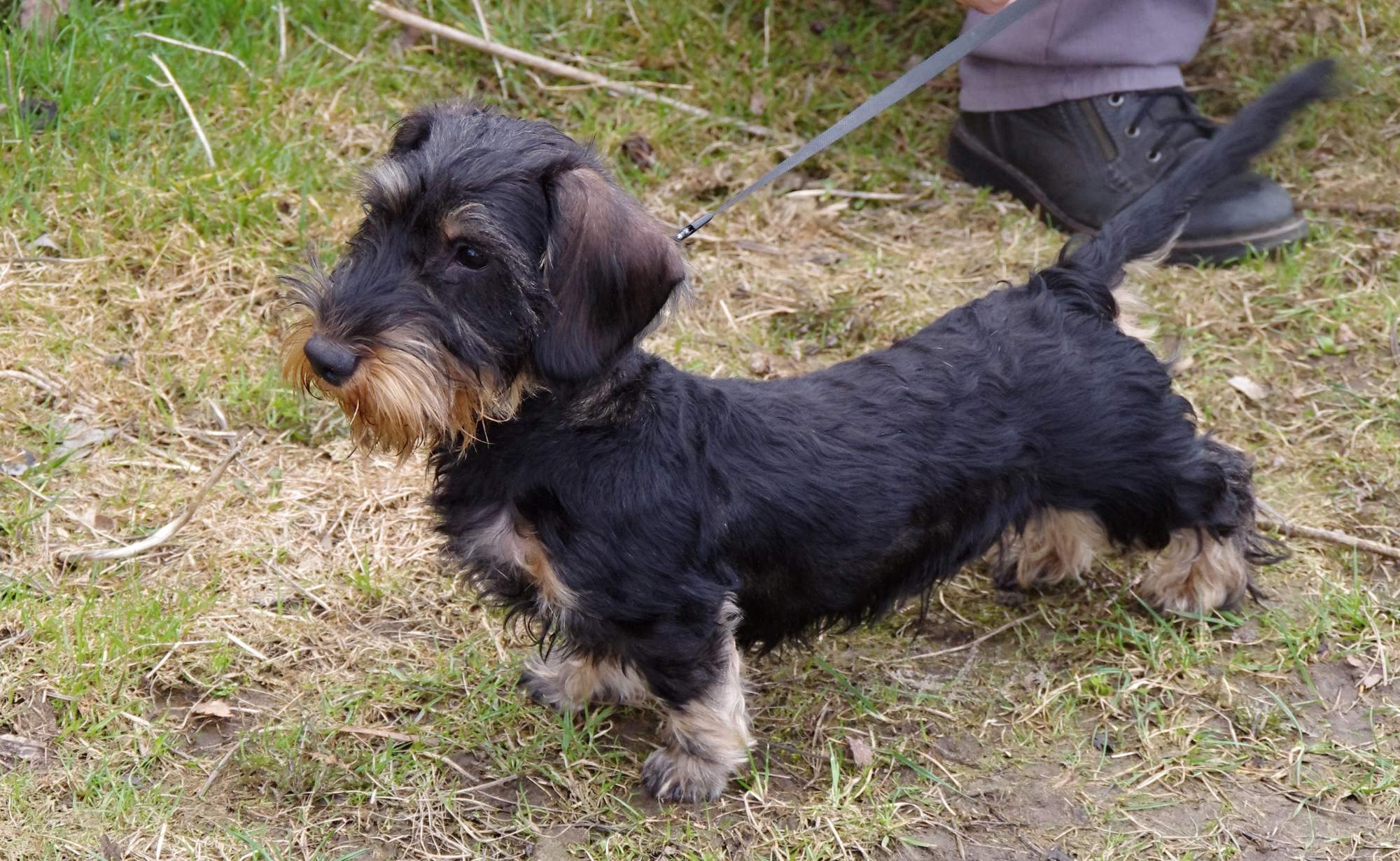 Niebezpieczna pamiątka z chodzenia