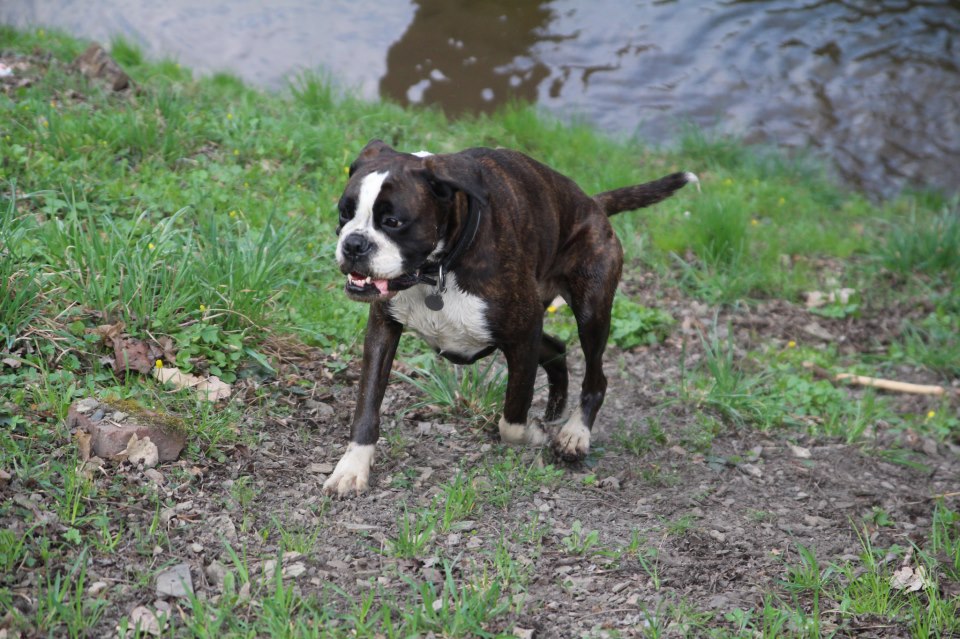 Po odrobieniu z powrotem do fitnessu