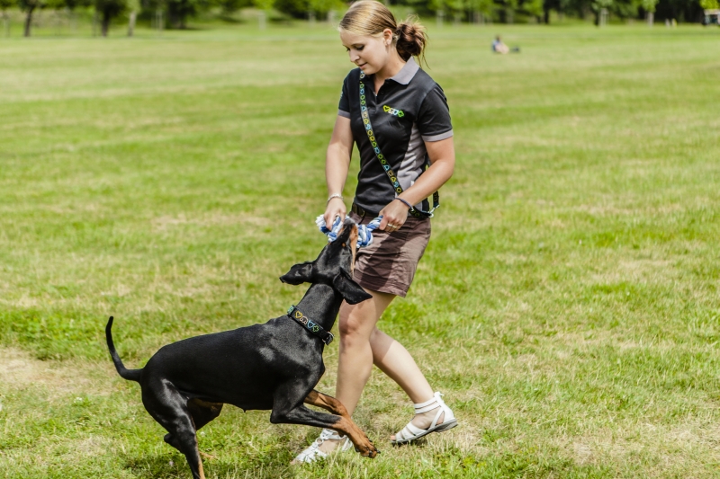 Filmy szkoleniowe Brit
