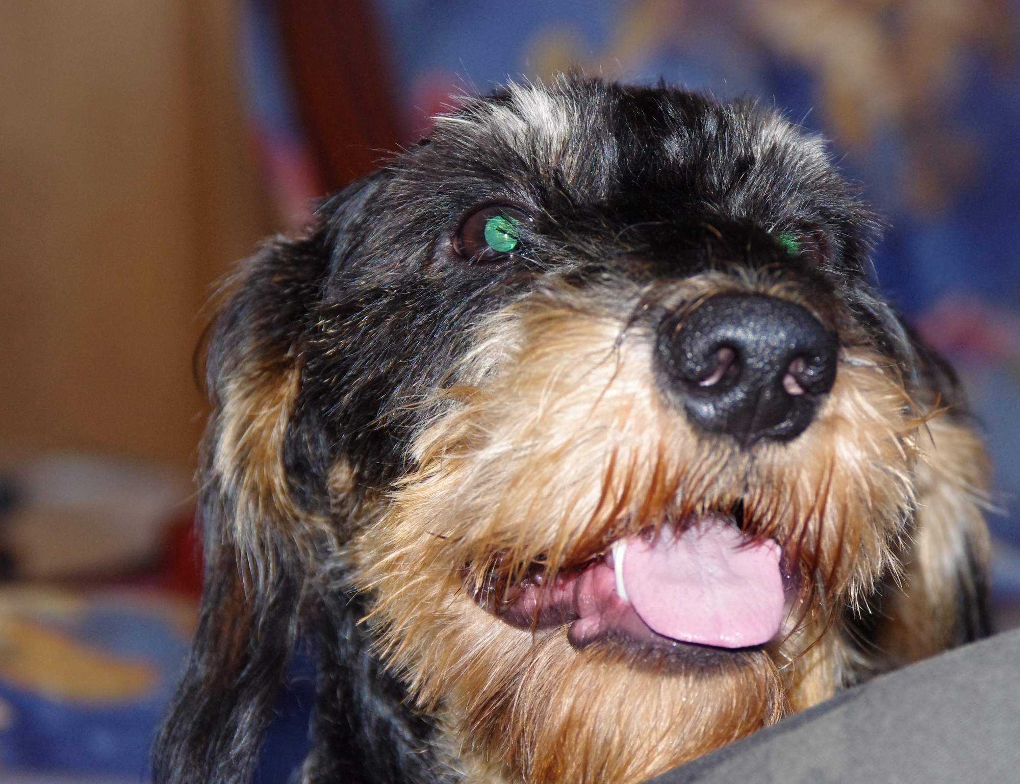 Wymioty soków żołądkowych