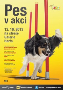 Zaproszenie w ostatniej chwili: Pies w akcji