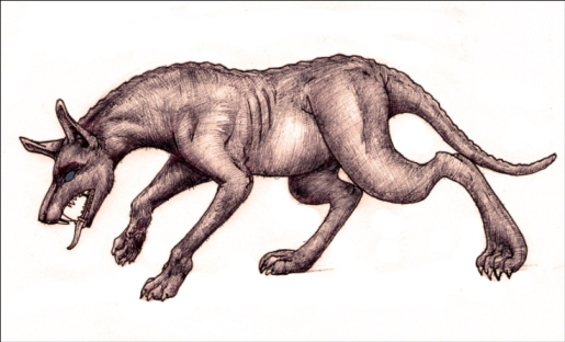 Potwierdzono istnienie tajemniczego zwierzęcia