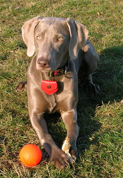 Ukończenie szkolenia