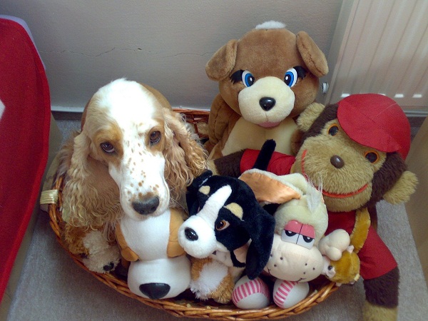 Zabawki wpadają na swoje miejsce