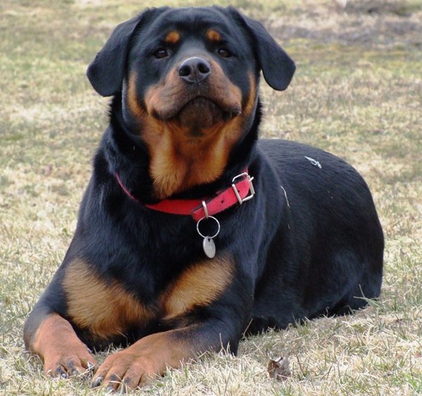 Inne błędy związane z pilotem