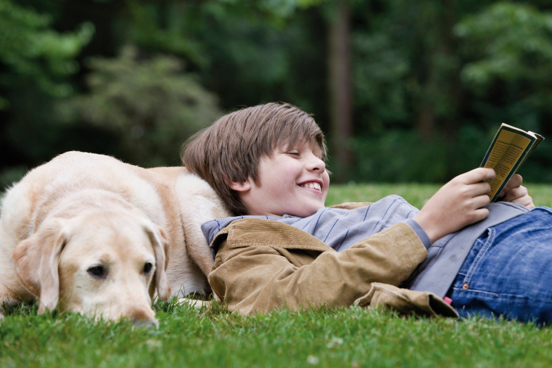 Najczęstsze & # 8222; zaznacz & # 8220; i & # 8222; pchła & # 8220; błędy