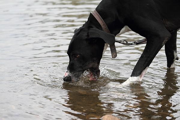 Uważaj na przegrzanie