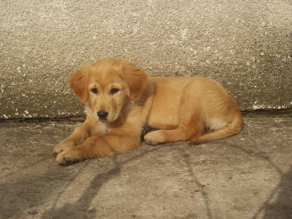 Miski w schronach są napełniane
