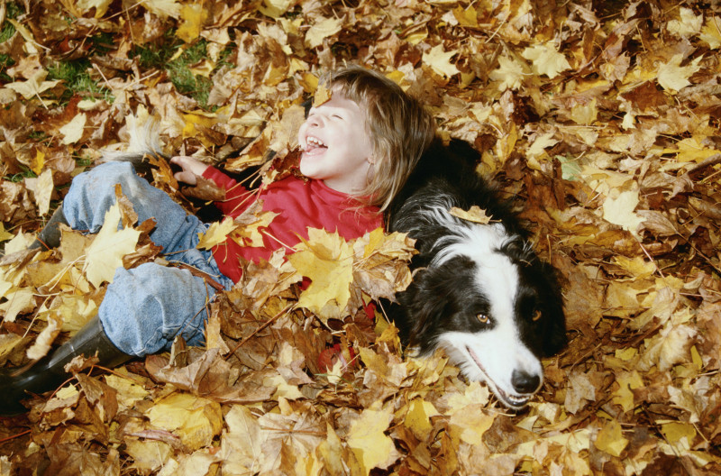 Zasady zapobiegania pasożytom wewnętrznym