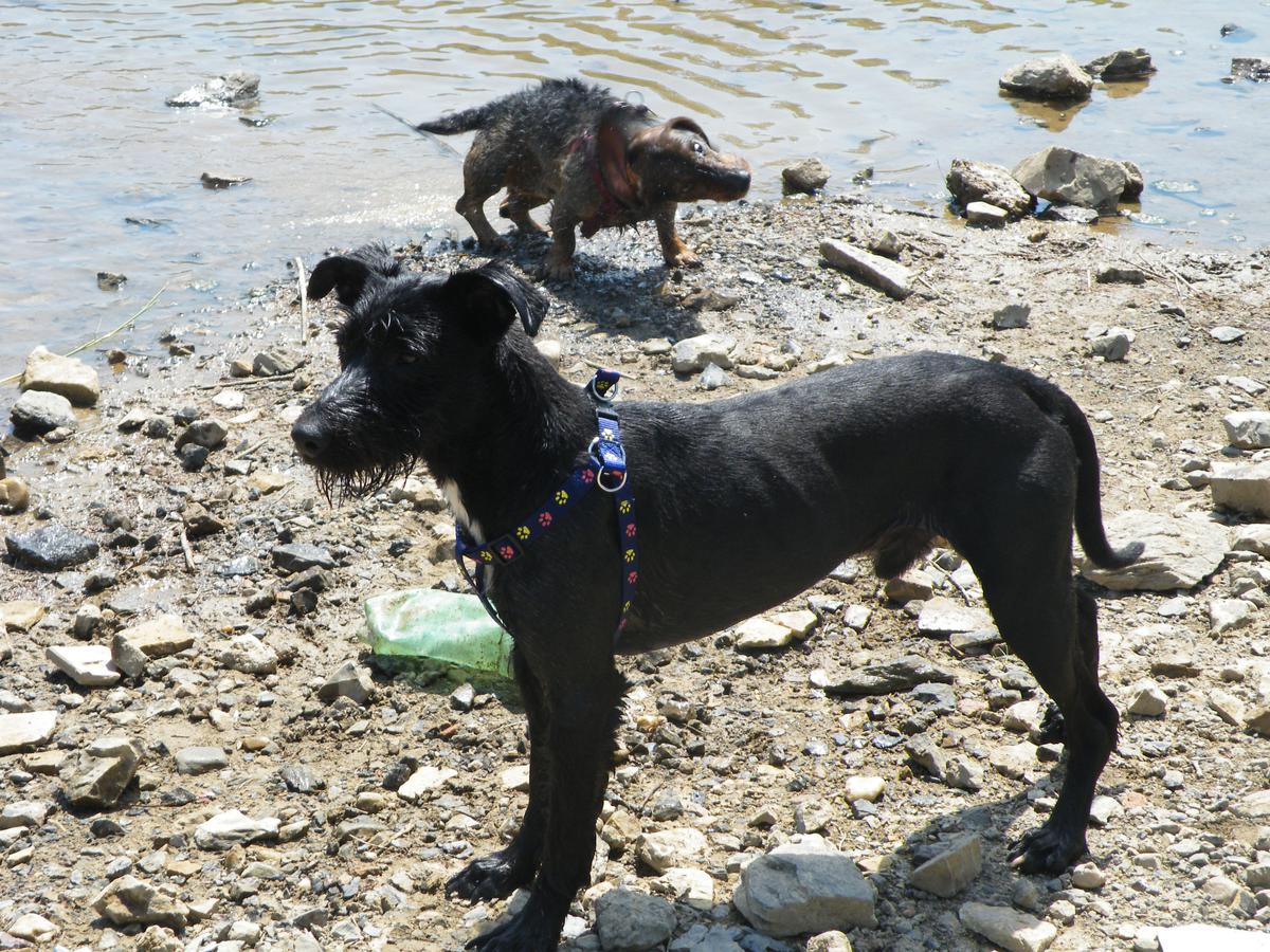 Chodzenie to koszmar