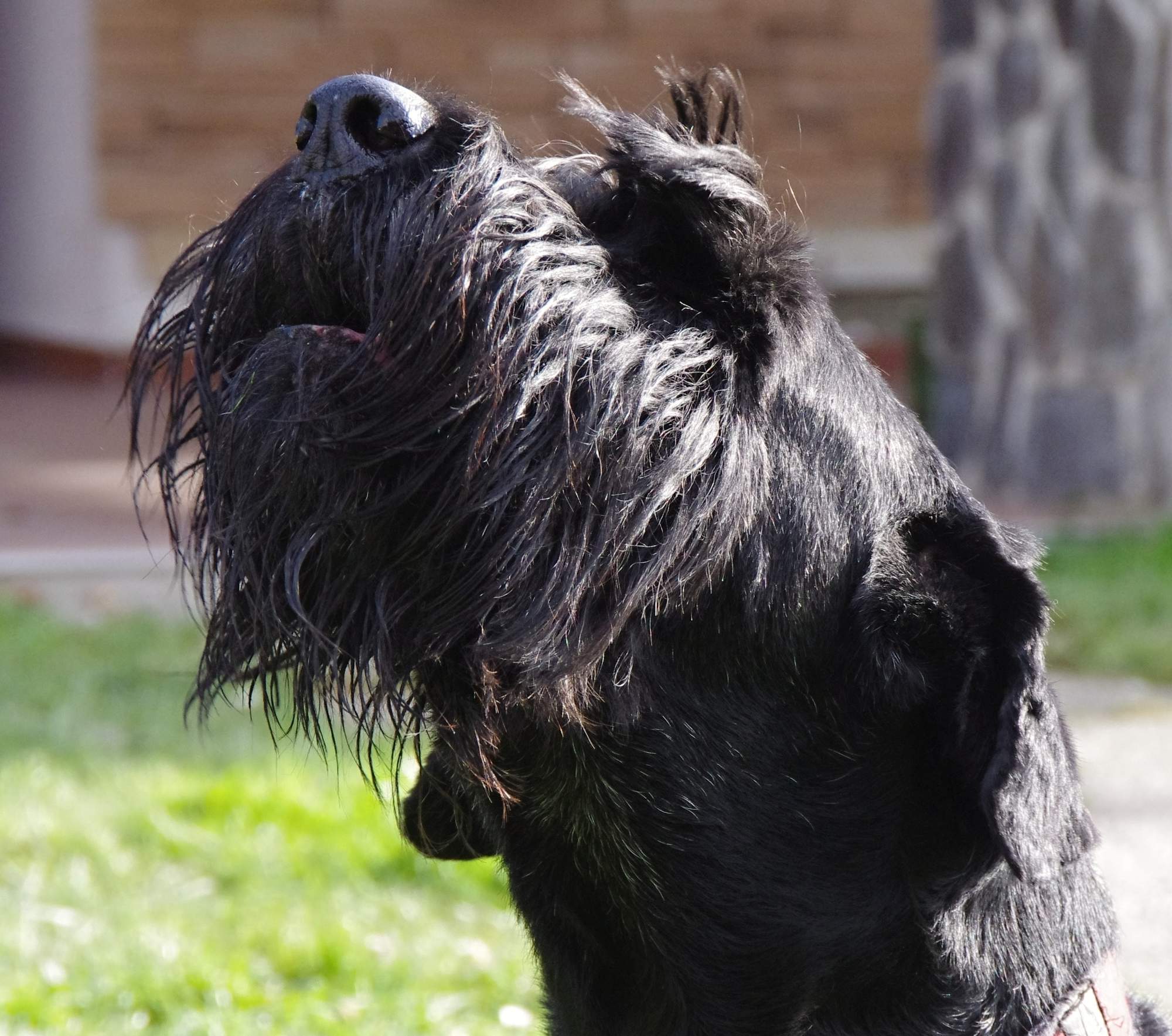 Przestać się rozmnażać?