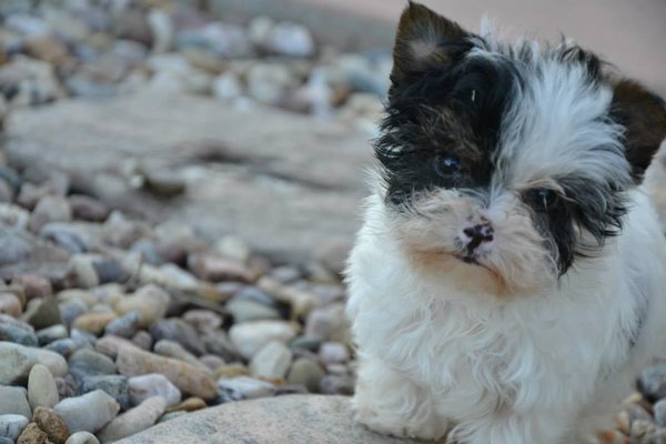 Pomoc w leczeniu przepuklin