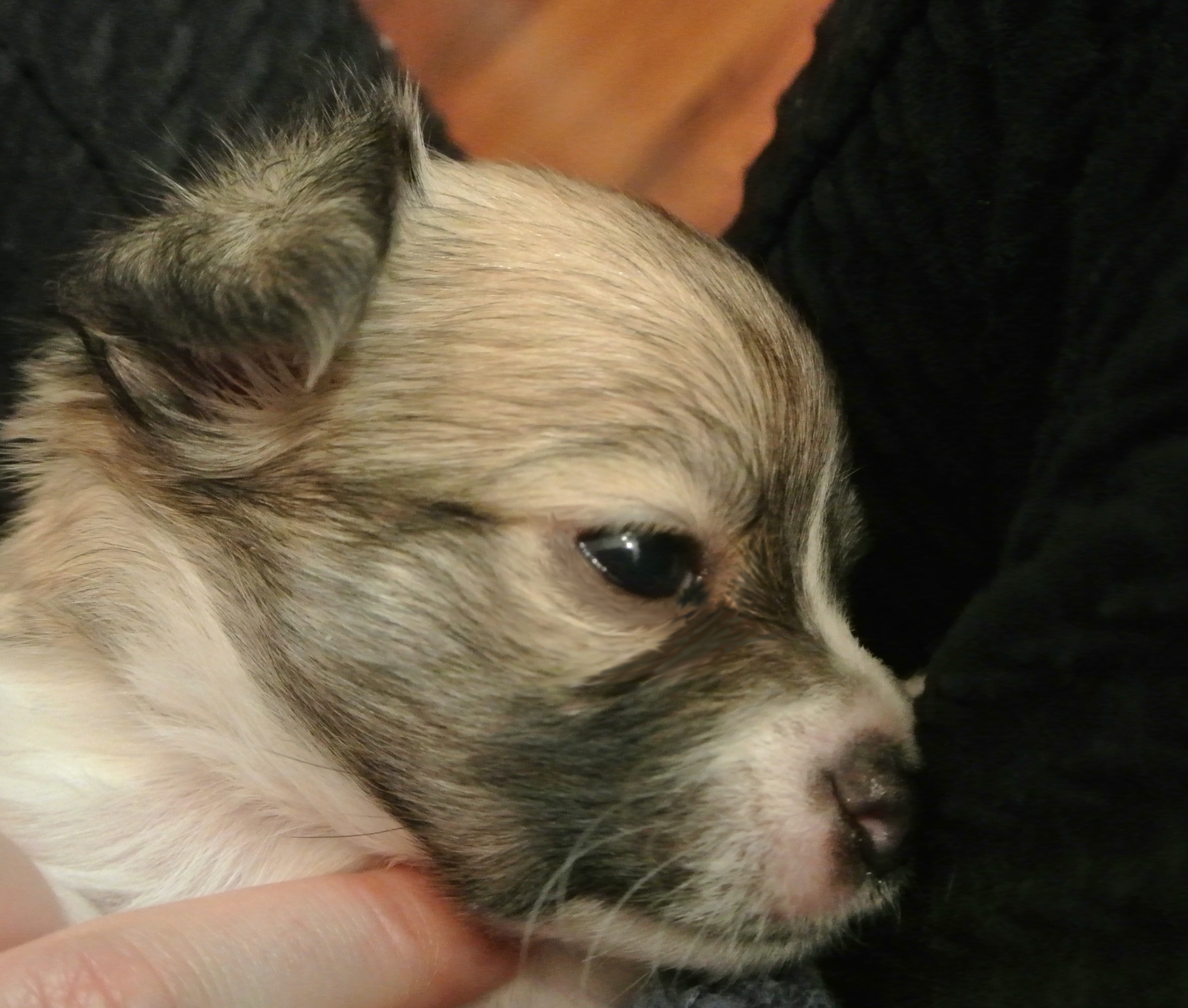 Słaby zakup