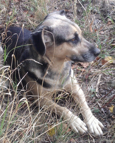 Delikatne leczenie chorób skóry