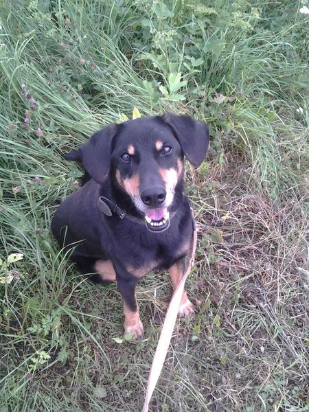 Zaproszenie: Schroniska przejdą przez Zlín