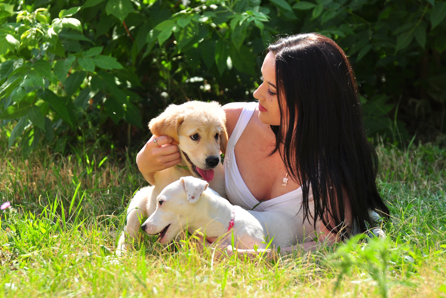 Kleszcze ożywają, chroń swojego zwierzaka