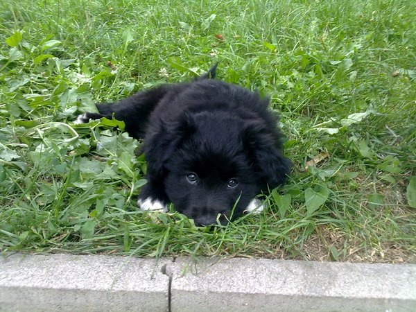 Schronienie we Vršavie ponownie przywita wiosnę