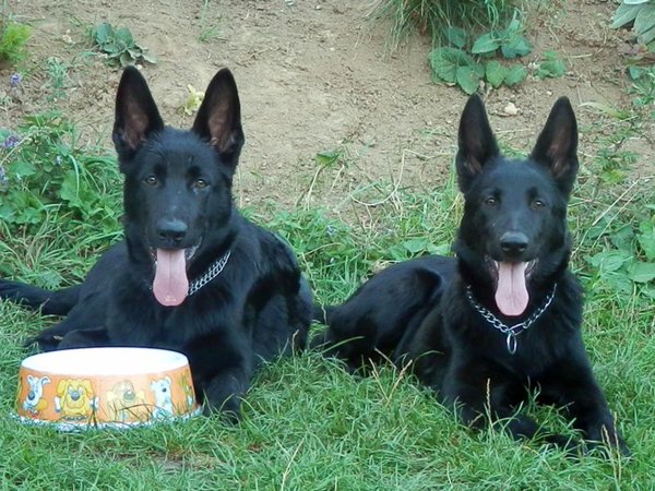 Zasady reżimu picia