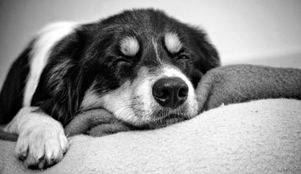 4 warunki wstępne właściwego treningu