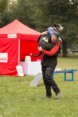 Psy ratownicze pojawiły się na Placu Karola