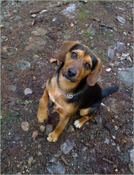 Uruchom i wspieraj właściwą rzecz