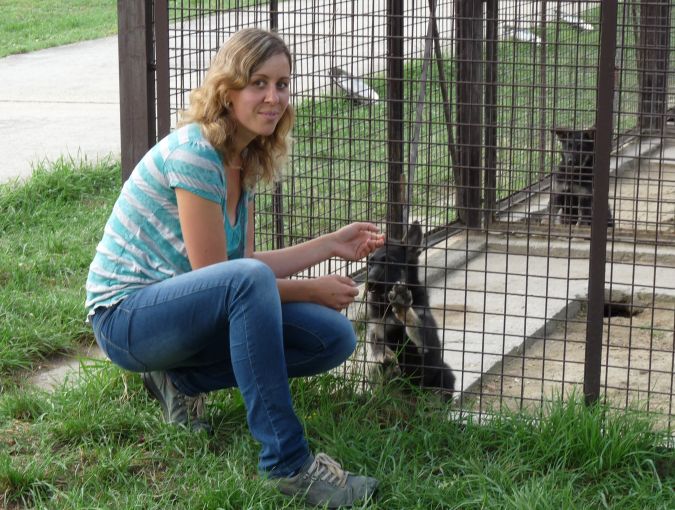 Ekspert odpowiada na pytania dotyczące karmienia psów i otyłości