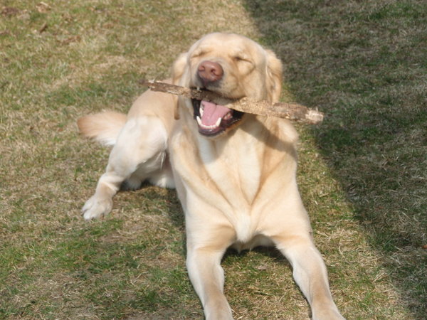 Co to jest dieta eliminacyjna?