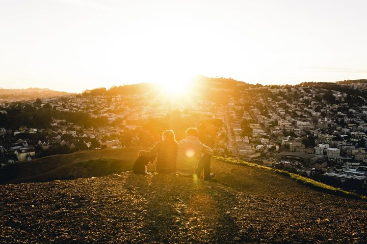 Wakacje ze swoim zwierzakiem? Wypróbuj przyjazny dla zwierząt Airbnb!