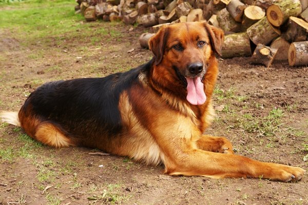 Kilka wskazówek na piękny płaszcz