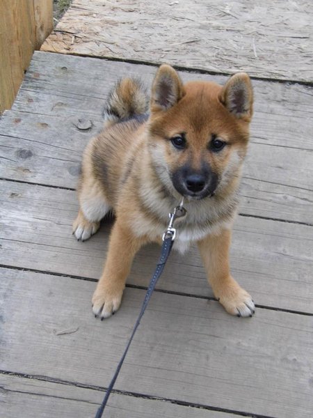 6 częstych błędów treningowych