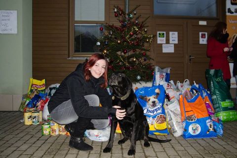 Zaproszenie: Przyjdź świętować Boże Narodzenie w schronisku w Zlínie